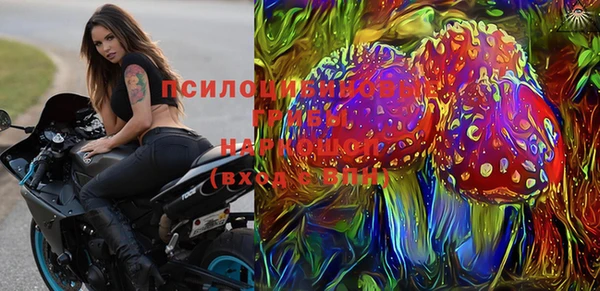 шишки Алексеевка