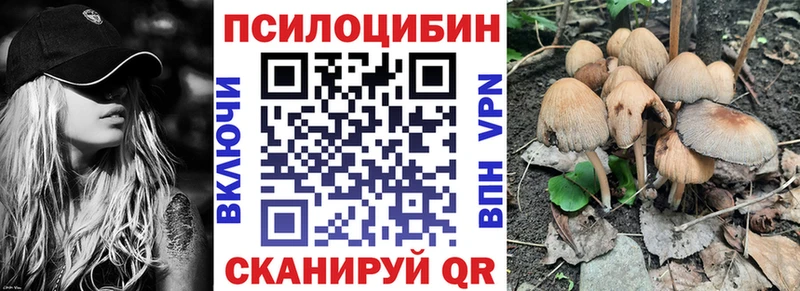 купить   Выкса  Псилоцибиновые грибы прущие грибы 