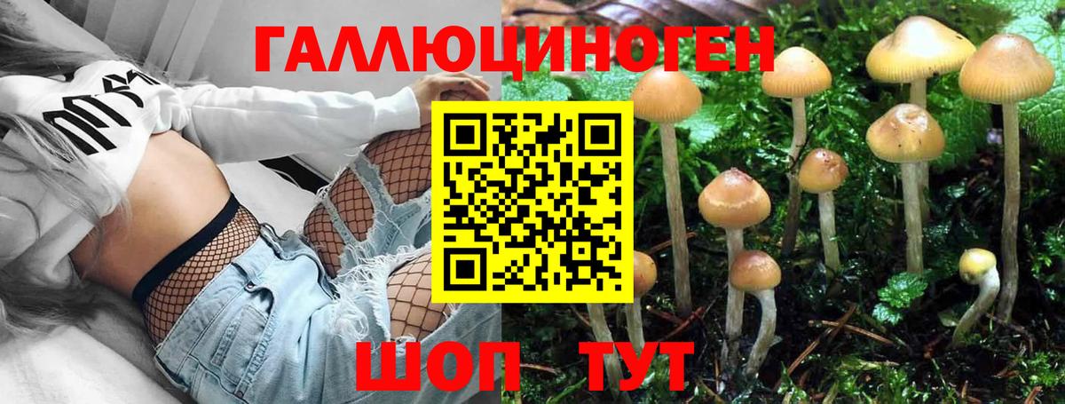 Псилоцибиновые грибы мицелий  Вход с VPN  Выкса 